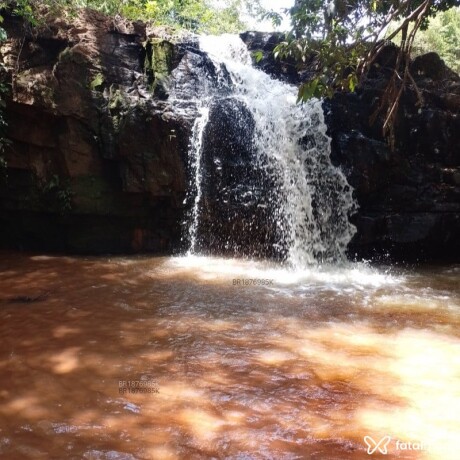 conheca-paixo-acompanhante-em-primavera-do-leste-big-0