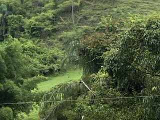 Conheca Felipe Acompanhante Em Ipatinga