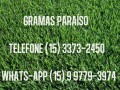 grama-esmeralda-goiania-go-adubos-e-fertilizantes-a-venda-no-vivalocal-246714814-vivalocal-small-0
