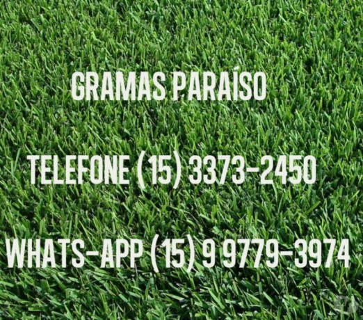 grama-esmeralda-goiania-go-adubos-e-fertilizantes-a-venda-no-vivalocal-246714814-vivalocal-big-0