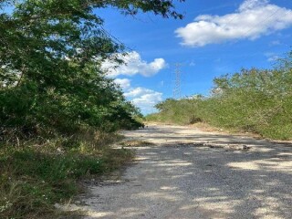 Preventa!!! terreno en privada en cholul, mérida, en Mérida | Clasf animales