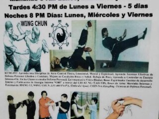 Clases de artes marciales kung fu wing chun en xalapa en Xalapa | Clasf deportes-y-nautica