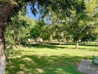 Terreno en venta en san armando en Torreón | Clasf formacion-y-libros