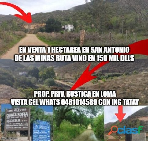 terreno-en-venta-en-san-antonio-de-las-minas-ruta-vino-2500-mts-opcion-1-hectarea-en-ensenada-clasf-inmobiliaria-big-0