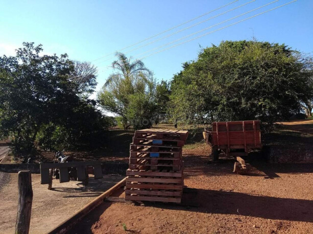 chacara-sitio-e-rancho-de-temporada-em-fazenda-pedregulho-sao-paulo-fazenda-cafeeira-big-2